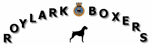 Roylark Boxers, International Boxer Judges, Boxer show exhibitors, and breeders of high quality boxer puppies