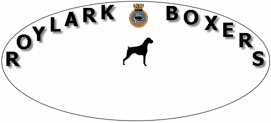 Roylark Boxers, International Boxer Judges, Boxer show exhibitors, and breeders of high quality boxer puppies